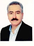 سید ضیاء محمدی