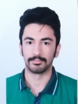 امیررضا حافظی