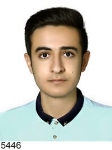 مهدی باقری
