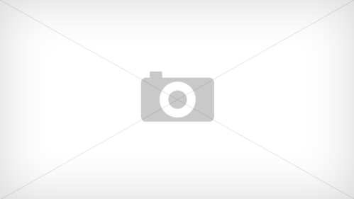 خبرنامه بهمن ماه 1403